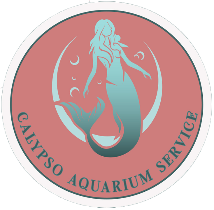 Calypso Aquarium Service